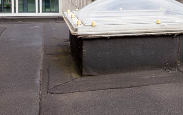 disadvantages of Ewell Minnis flat roofs