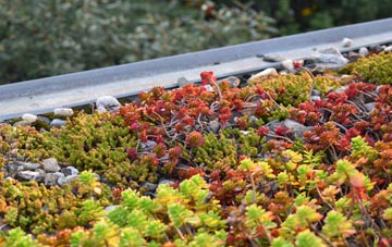 the cost of Ewell Minnis green roof installation