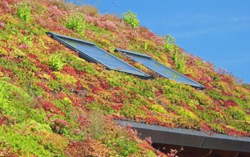 Ewell Minnis living roof systems