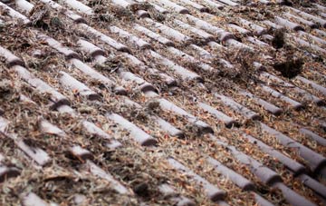 Ewell Minnis roof cleaning companies