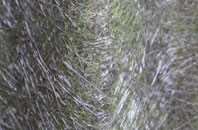 Ewell Minnis fibreglass roof work